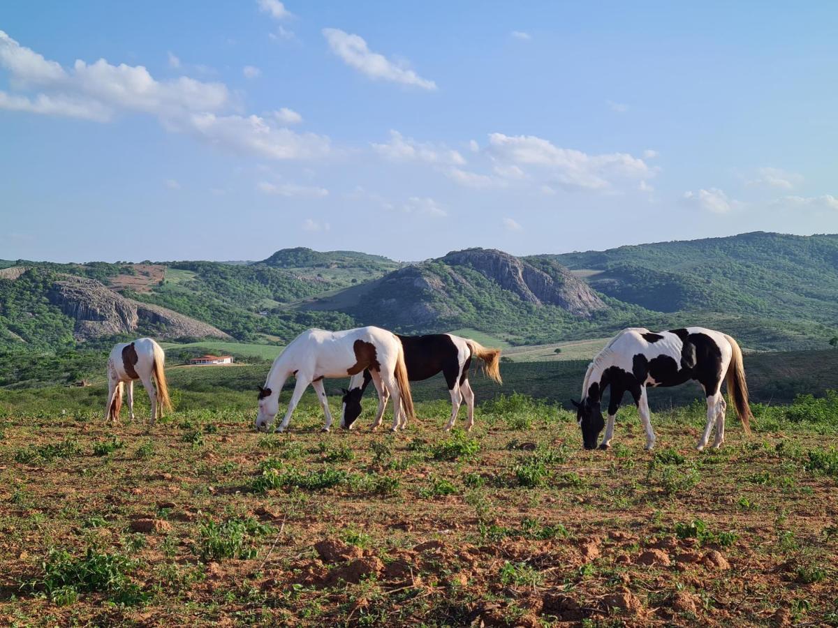 Rancho Trevo Hotel Serra de Sao Bento Ngoại thất bức ảnh